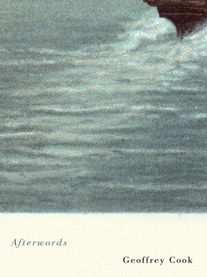cover image of Afterwords